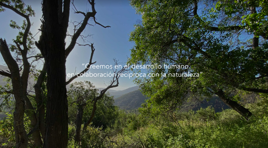 image (32)
